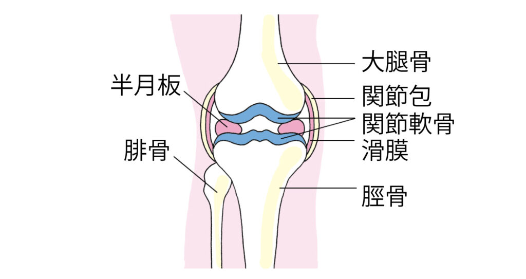 膝がカクカクする原因とは？違和感を改善する方法も紹介 | くまのみ整骨院グループ