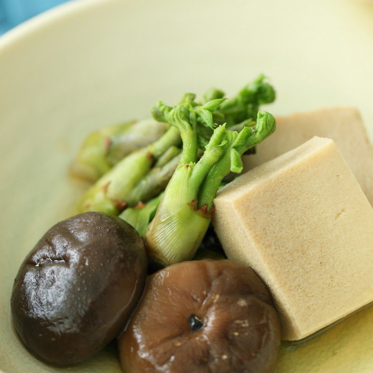 タラの芽＞天ぷら以外の食べ方知ってる？簡単＆絶品レシピをご紹介4yuuu