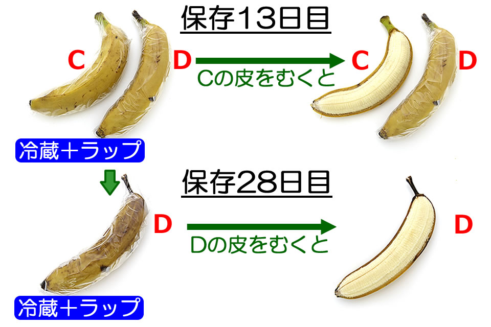 プロに聞いた!くだものを長持ちさせる保存方法って?mamatas ママタス