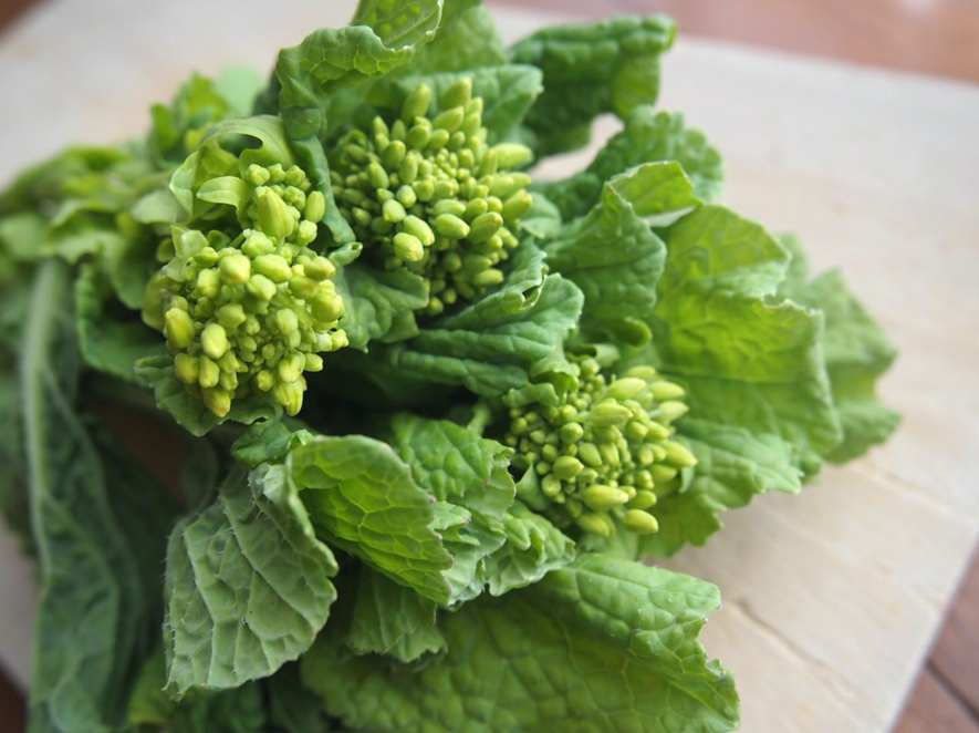 紅菜苔」の簡単な食べ方!徳島の産直市 喜多野安心市 の2代目が伝えたい!やさいの話とか、農業の話とか