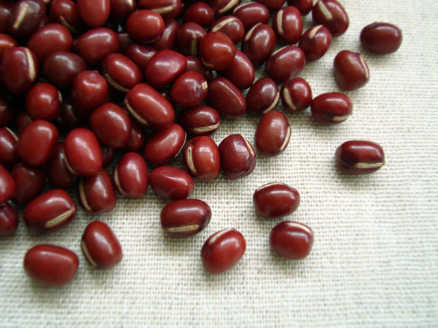 原穀 生豆＞原穀 大粒大納言小豆 H20・北海道産 500ｇ