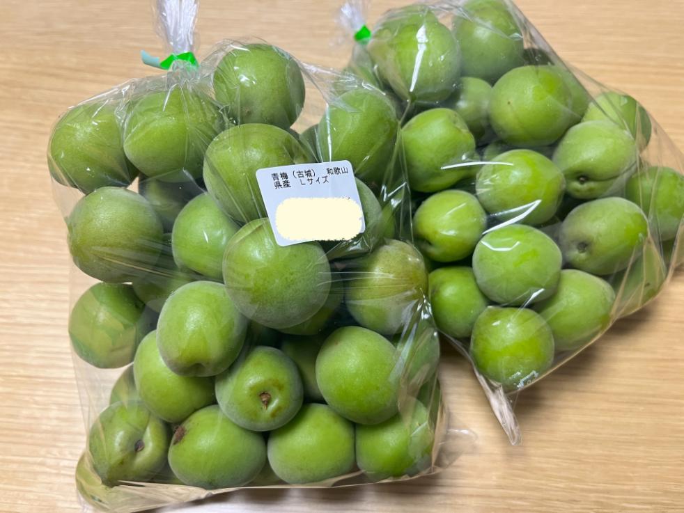 青梅と氷砂糖で作る初夏の梅ジュースレシピ