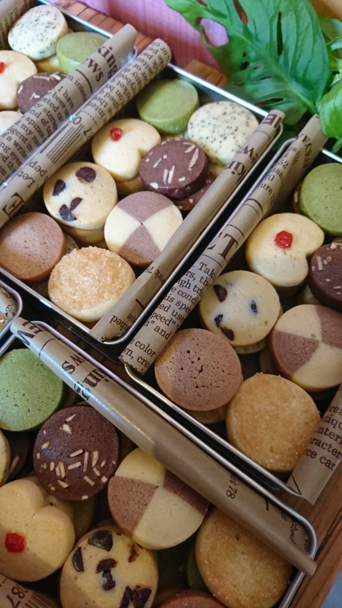 切っても切ってもくま🐻！ くまさんの簡単アイスボックスクッキーの作り方手作りバレンタイン簡単可愛いバレンタインレシピIceboxcookies