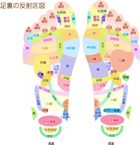 台湾式麻婆 馬麻家 Taiwanese