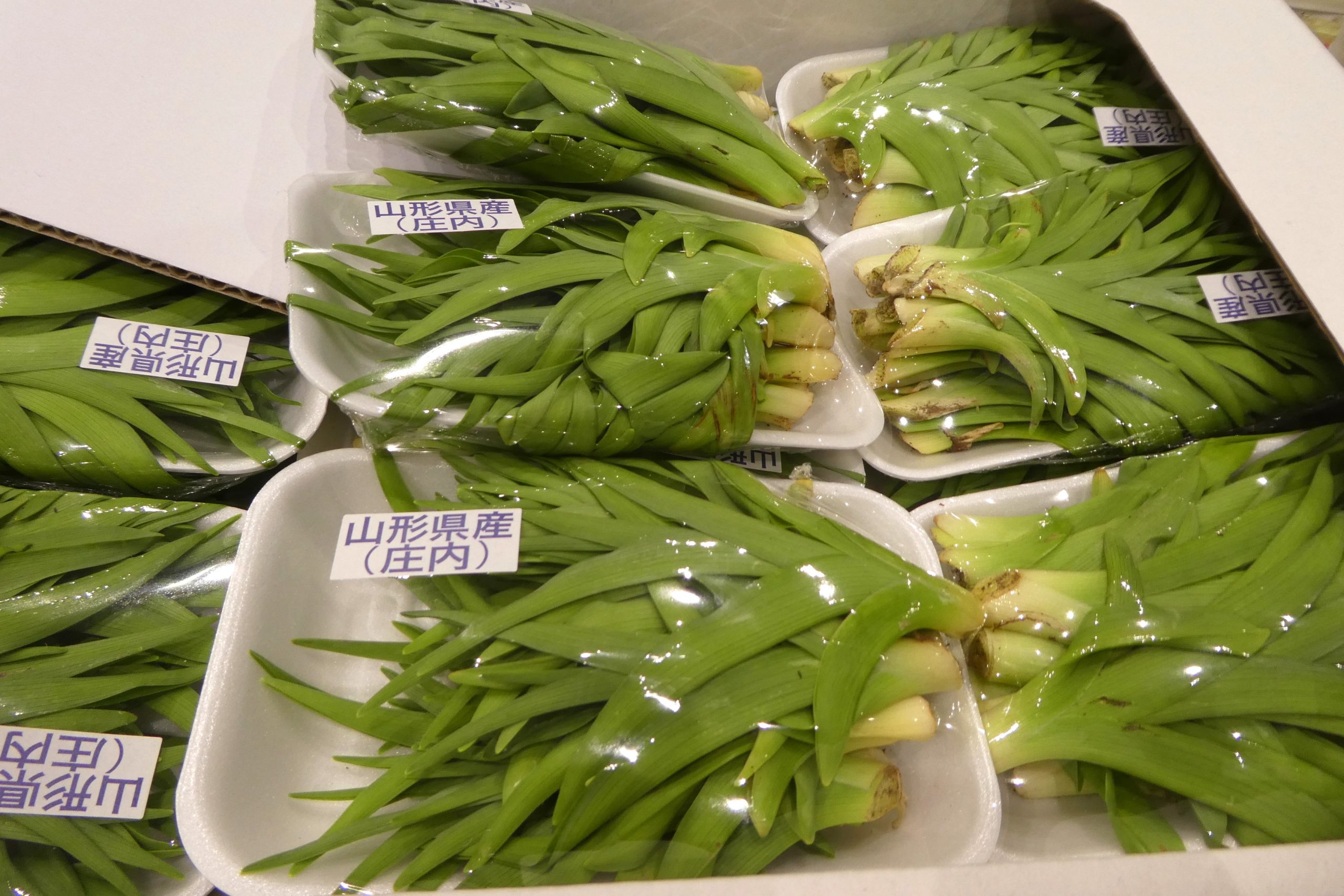 ノカンゾウの花の食べ方・金針菜 - すどう農園