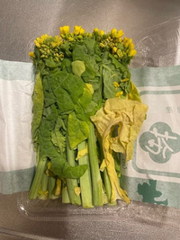 野生 河原や土手の菜の花を食べてはいけない？毒性に注意 セイヨウカラシナ天国に一番近い個人旅行