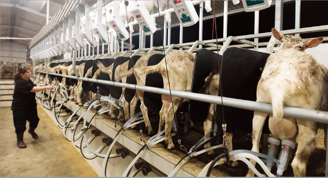 松田乳業│富より健康～北アルプス山麓の松田牛乳