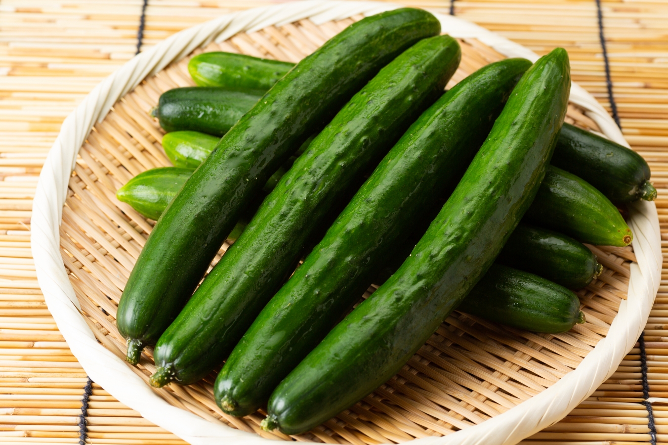 鮮度復活の裏ワザ×2 冷蔵庫でしなびた「きゅうり」を瑞々しくさせる方法を試してみた！元通りになる⁉ 実証実験『あたらしい日日』こんな時代のニューノーマルな暮らし方。食と農、生活情報をお届けします