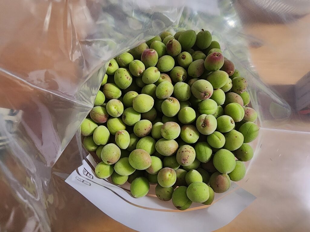 大人のおやつ❤焼酎漬けかりかり梅