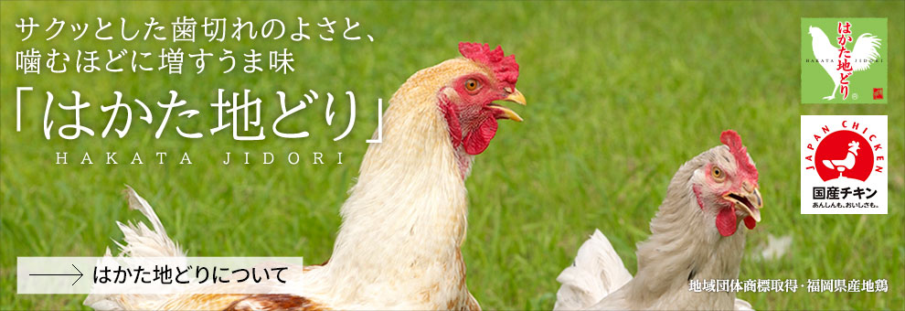 養鶏は安定性、将来性No.1！？令和の養鶏ビジネスの実態に迫る