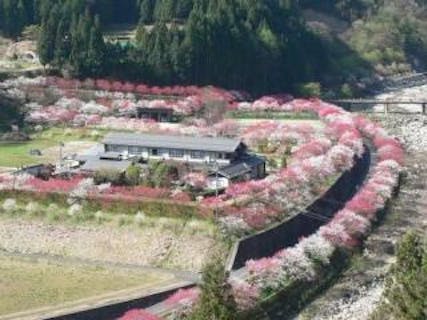 湯多利の里 伊那華 | 飯田