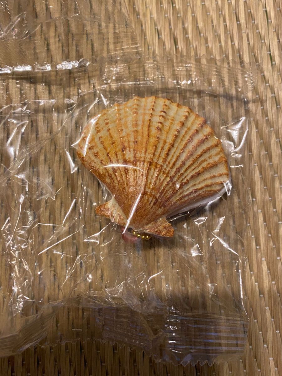 貝のぬいぐるみカプセルトイ ガチャガチャ 発売中です!BOKUTO SHISHU