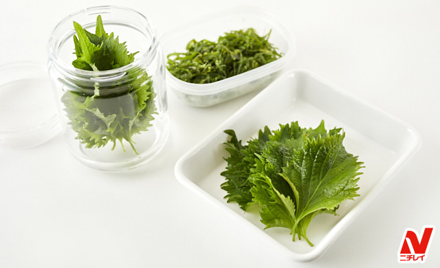 冷凍保存で「大葉 青じそ 」長持ち！フレッシュな美味しさ続くコツをご紹介キナリノ