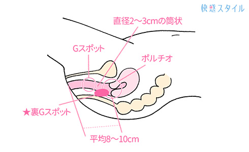 初めてのアナルオナニー