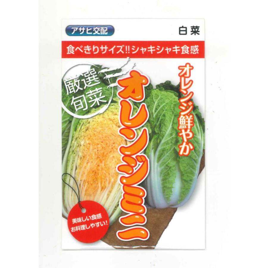有機ミニ白菜の漬物白菜の塩漬け –Organic Recipeオーガニックレシピ