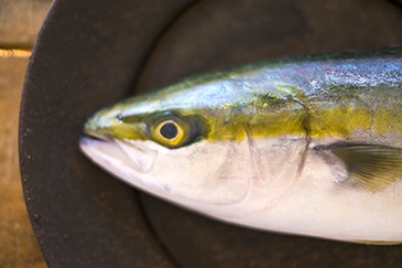 おせちの由来とは？中身の種類と食べる意味を知ろうギフトよみものギフトプラザ