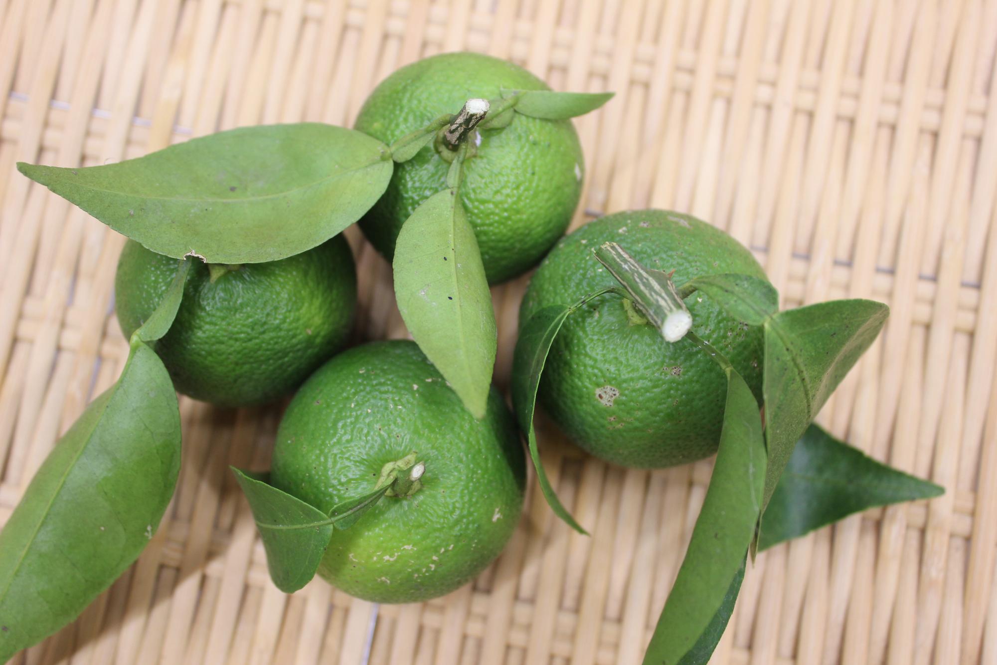 徳島の柑橘『すだち』の保存方法素材をいかす和モダンスイーツ出版ライブDay２