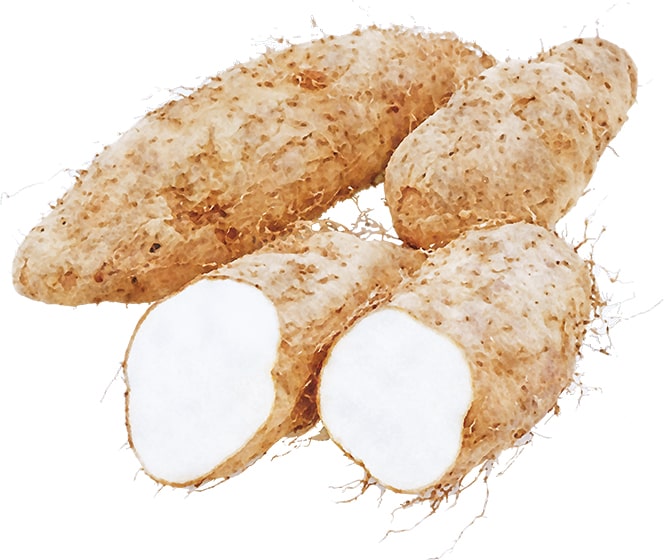 つくね芋ののり巻き揚げ 和食と和菓子の材料処 天極堂プロ 本店てんぎょくどう 井上天極堂 業務用食材のオンラインショップ