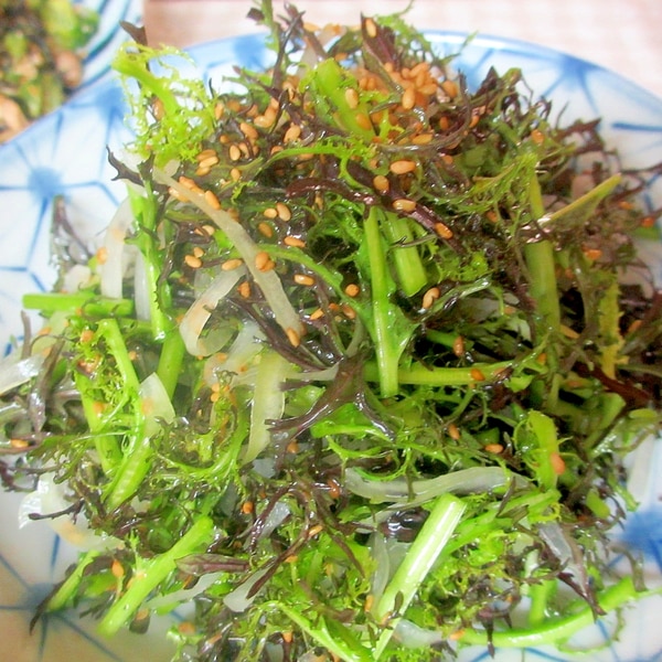 カラシナ 芥子菜 とれたて大百科食や農を学ぶJAグループ