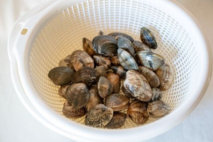 あさりの砂抜き＆冷蔵・冷凍保存テク〜必要な時間や、失敗しないためのコツ〜Lidea リディアby LION