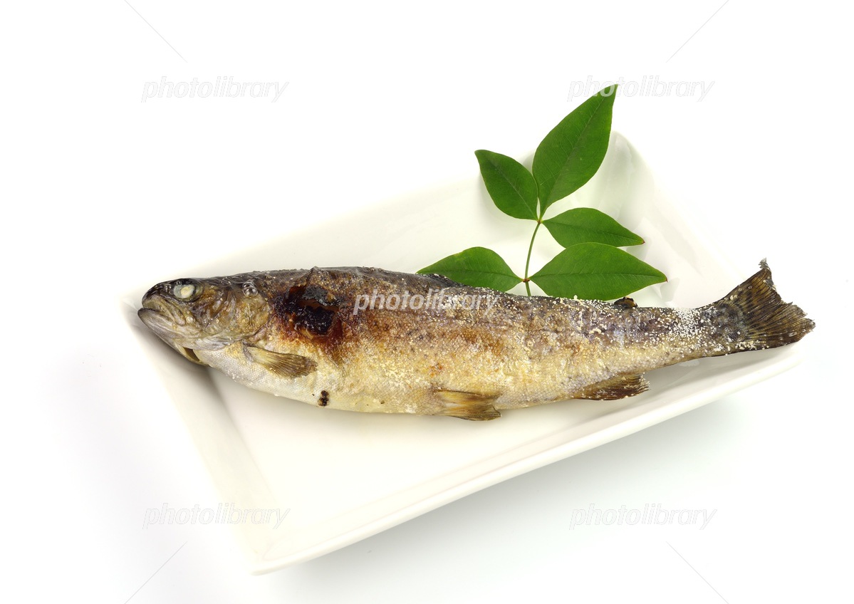 釣りグルメニジマスの塩焼き釣魚料理Gunji