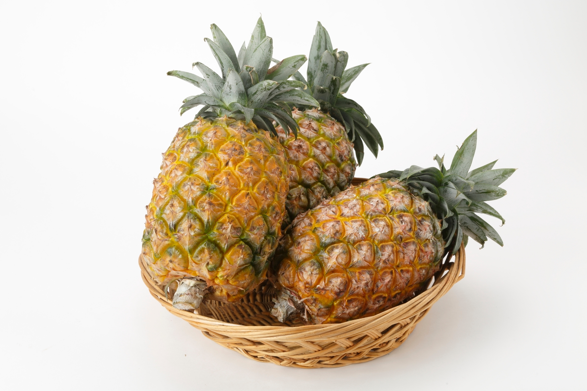 コカコーラ スコール・パインNob. さんのお気楽極楽 - 楽天ブログ