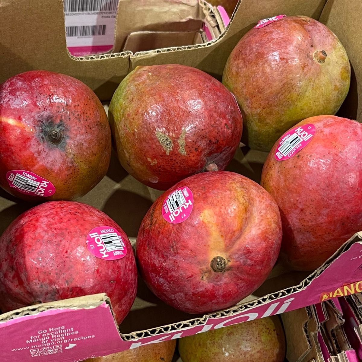 コストコのメキシコ産マンゴーは肉厚でマンゴー好きも納得の美味しさ！│TASTY TIME テイスティータイム