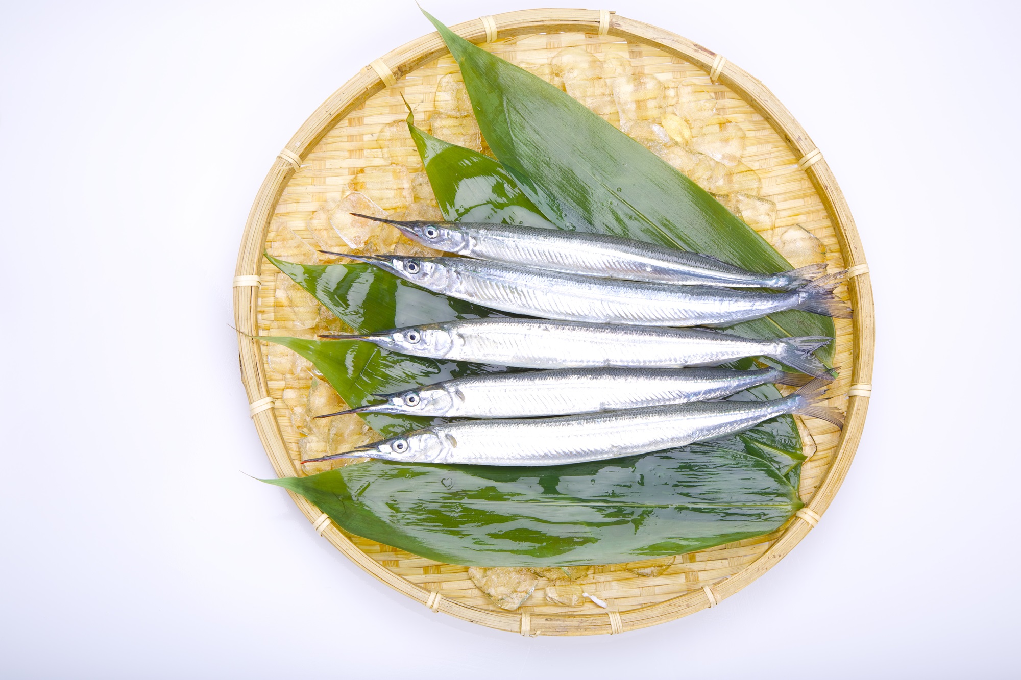 サヨリと言う魚はご存知でしょうか公式 瓢嘻 ひょうき 全席個室「しゃぶしゃぶ・日本料理」東京で接待・会食・お祝いなら 瓢嘻