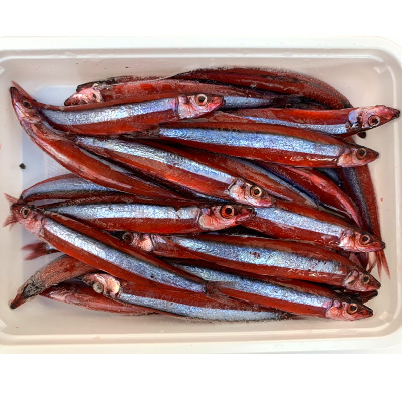 キビナゴ干物 きびなご丸干し干物 を通販・お取り寄せ創業八十余年の販売実績 高知の海産物専門店 中田遊亀商店