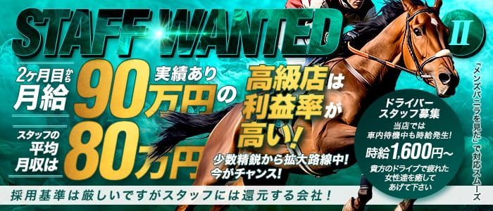 東京都の風俗男性求人・高収入バイト情報【俺の風】