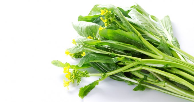 野生のからし菜を摘んでまいりました。仙台近辺では「なっぱ」と呼ばれてますが、主にお浸しにして いただいていました。が、新芽の塔が伸び掛かってきたところを軽く湯通ししてから塩漬けし、酸っぱくなるまで漬け込む加藤 義秋