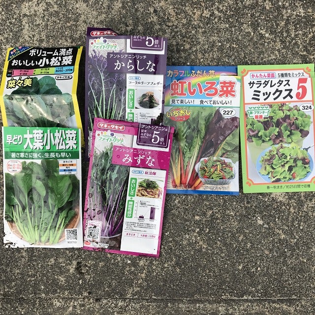 菜っ葉類の蒔き時です!│土と親しむ ~家庭菜園・農業応援歌~