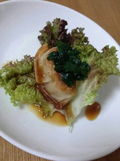 冷凍餃子 で揚げ餃子を作る方法を紹介!絶品アレンジレシピも!食・料理オリーブオイルをひとまわし