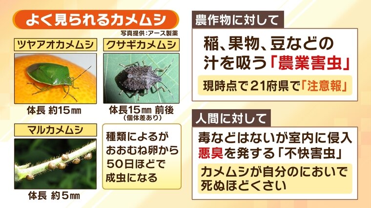 爆サイ熊本グルメ板アワード2019 集計結果発表 [食べログまとめ]