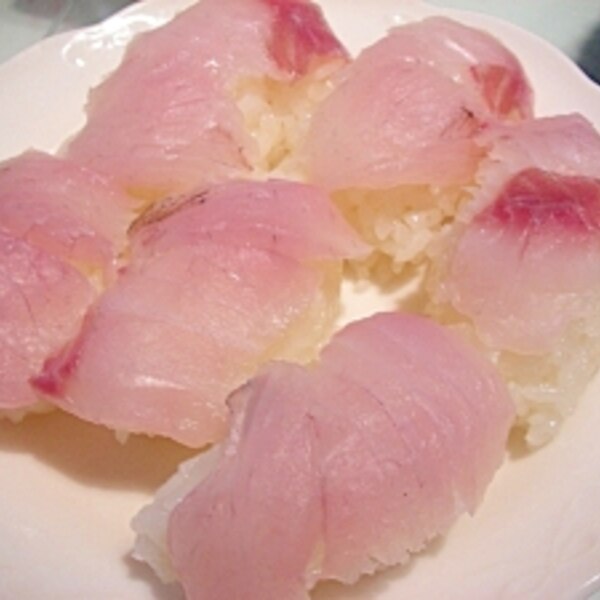 釣りスズキの炙りとお刺身盛り合わせ さくたろうSnapdish スナップディッシュID:jq8rba