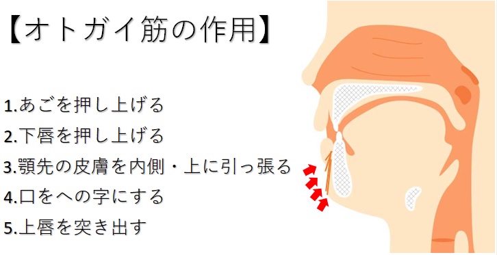 アゴの梅干しが消えた‼︎恵聖会クリニック大阪の美容外科・美容皮膚科