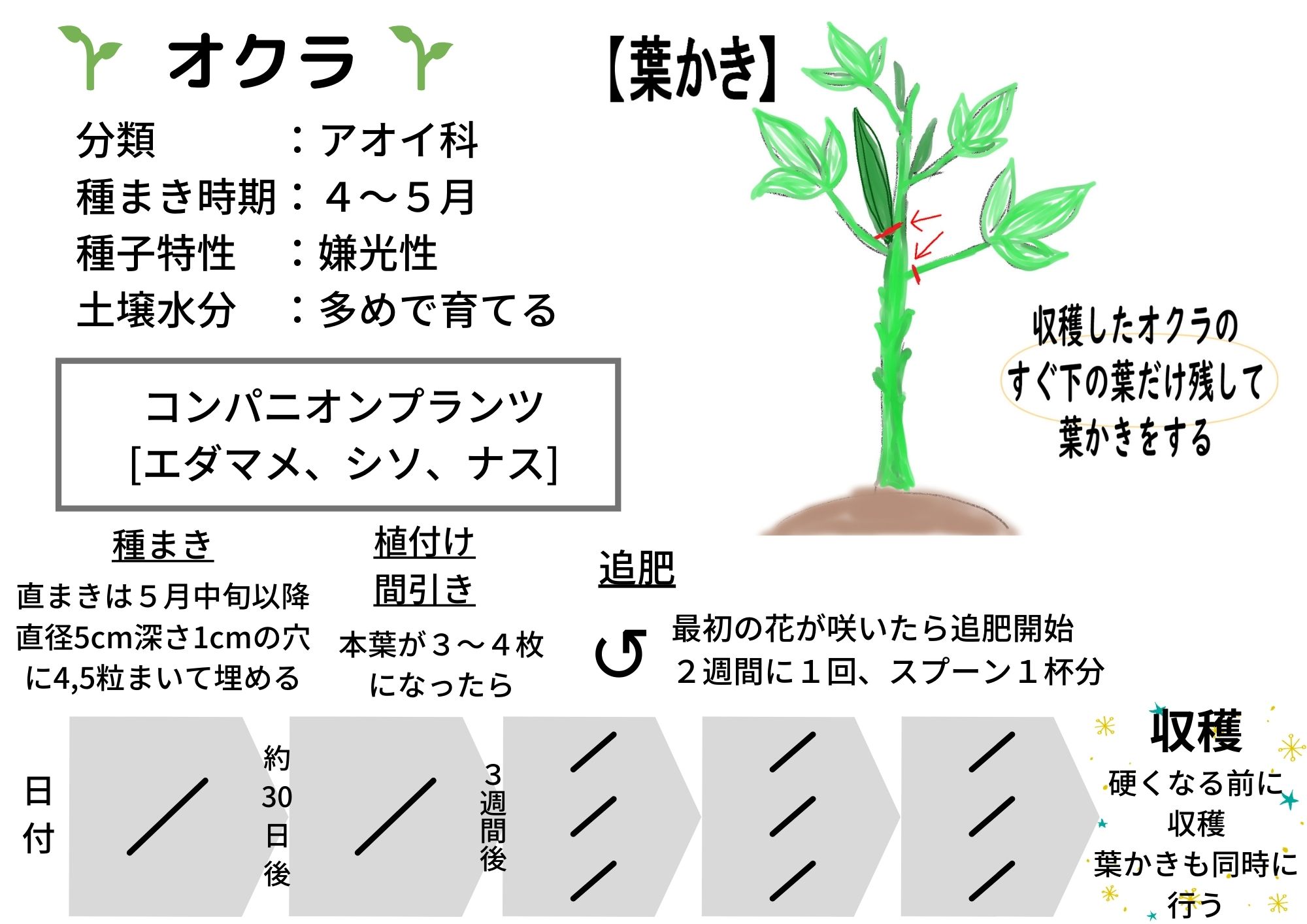 初心者でもできる！プランター栽培種・苗・球根・ガーデニング用品・農業資材の通販サイト タキイネット通販