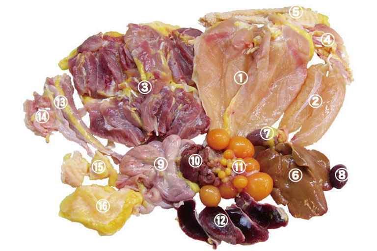 豆知識 鶏のささみってどの部位？図解で覚えて美味しさ実感♡ – 株式会社モンテローザ