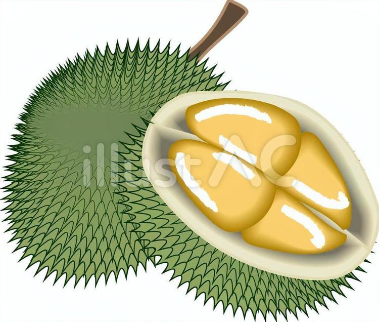 ドリアンの匂い＆味の正体は？栄養素とその効果・効能も解説マイナビ農業