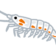 伊勢海老 イラスト素材6207026- フォトライブラリ