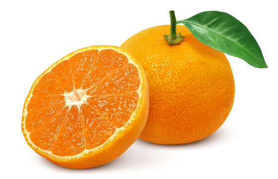 果物：みかんJA香川県 - 香川県農業協同組合