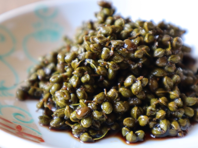 「きょうの料理」実山椒のつくだ煮