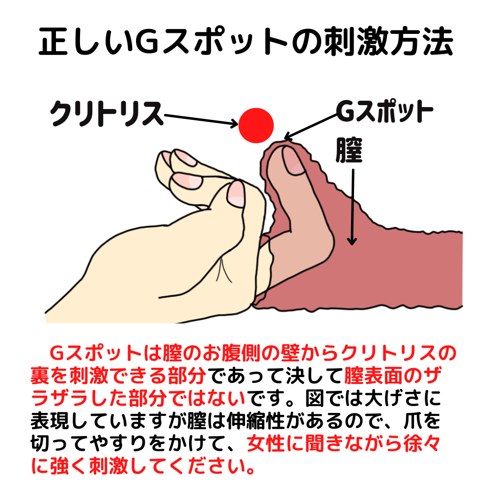 女性が感じる仕組みとは？オーガズムとスキーン腺の関係について解説 | コラム一覧｜  東京の婦人科形成・小陰唇縮小・婦人科形成（女性器形成）・包茎手術・膣ヒアルロン酸クリニック