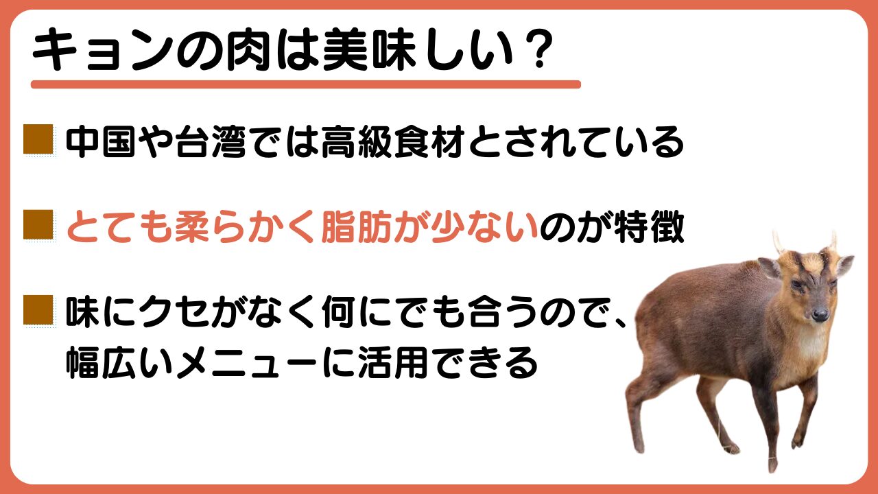 本日も営業しております！！ キョンのもも肉です。 柔らかく臭みがなく美味しい赤身肉です！こちらは予約制になりますのでご興味ある方はご連絡お待ちしております！ ランチタイム 11：30〜15：00 、ディナータイム 15：00〜22：00ともに営業致します！ お飲み物