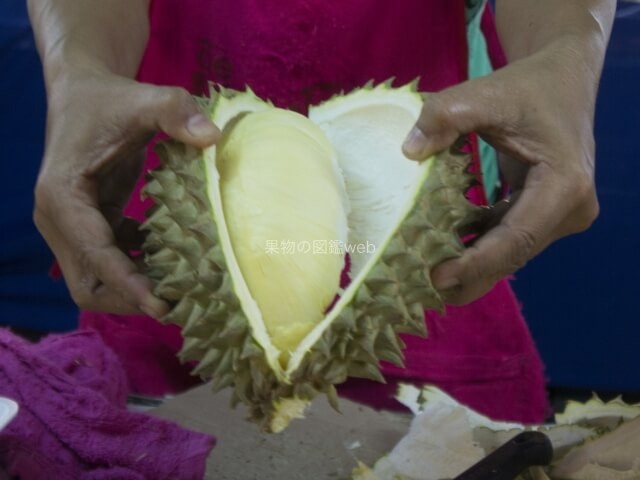 楽天市場 緑 グリーン フルーツ・果物食品 の通販