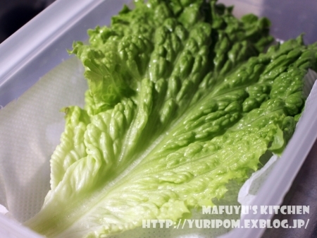 リーフレタスの保存方法冷凍・冷蔵・保存期間と保存食レシピ!乾燥させないのがコツ野菜のおうち。常温と冷凍保存方法解説