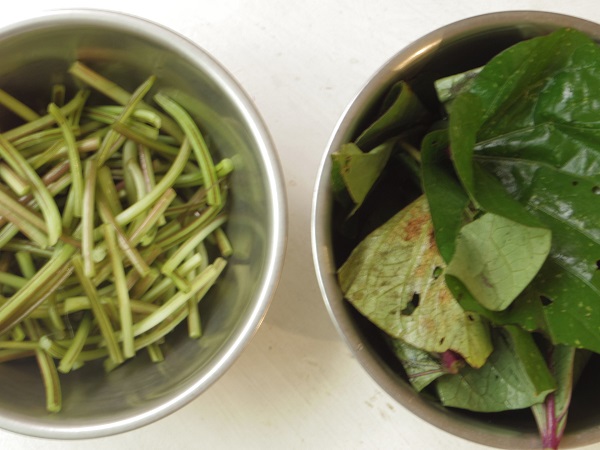 さつまいもの「芋づる」。 野菜としての食べ方はof nou