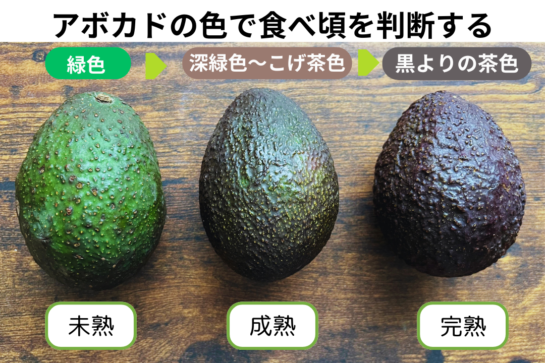 おいしいアボカドの選び方・見分け方 実際に食べた結果