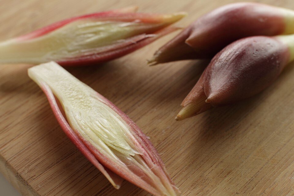 茗荷茸 みょうがたけ の天ぷらみんなの投稿レシピAll About