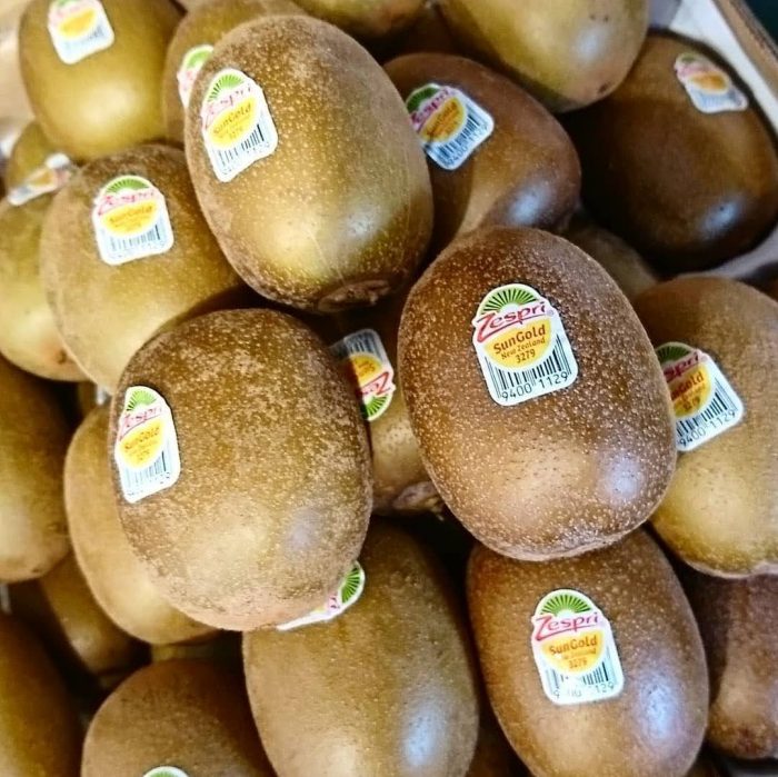 キウイフルーツの収穫時期はいつ？ タイミング・収量の目安と、大玉果実栽培のコツ